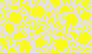 True Colors Wildflower Daisy