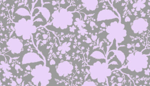 True Colors Wildflower Hydrangea