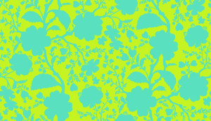 True Colors Wildflower Spring