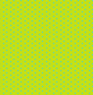 True Colors Hexy Chameleon