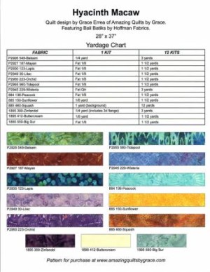 Hyacinth Macaw - Image 2