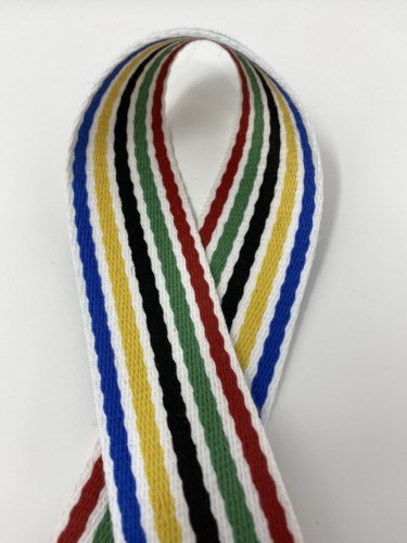Polyester Multi Thin Stripes Webbing 38MM