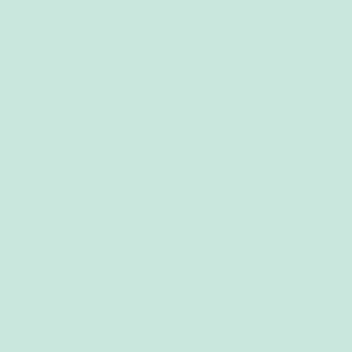 PE-451-Icy-Mint-500px Pure Solids Icy Mint - Image 1