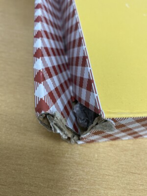 The Daisy Bee's Knees Book Stand ( Damaged ) - Image 3