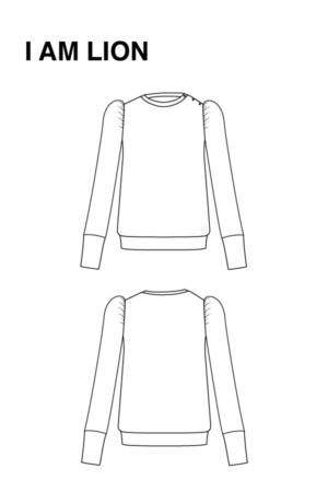 Lion Sweatshirt Pattern - Image 2