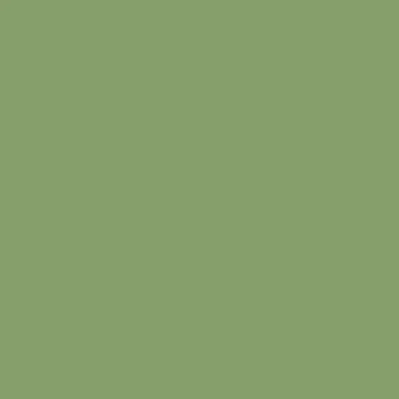 ASPAR Pure Solids Asparagus - Image 1