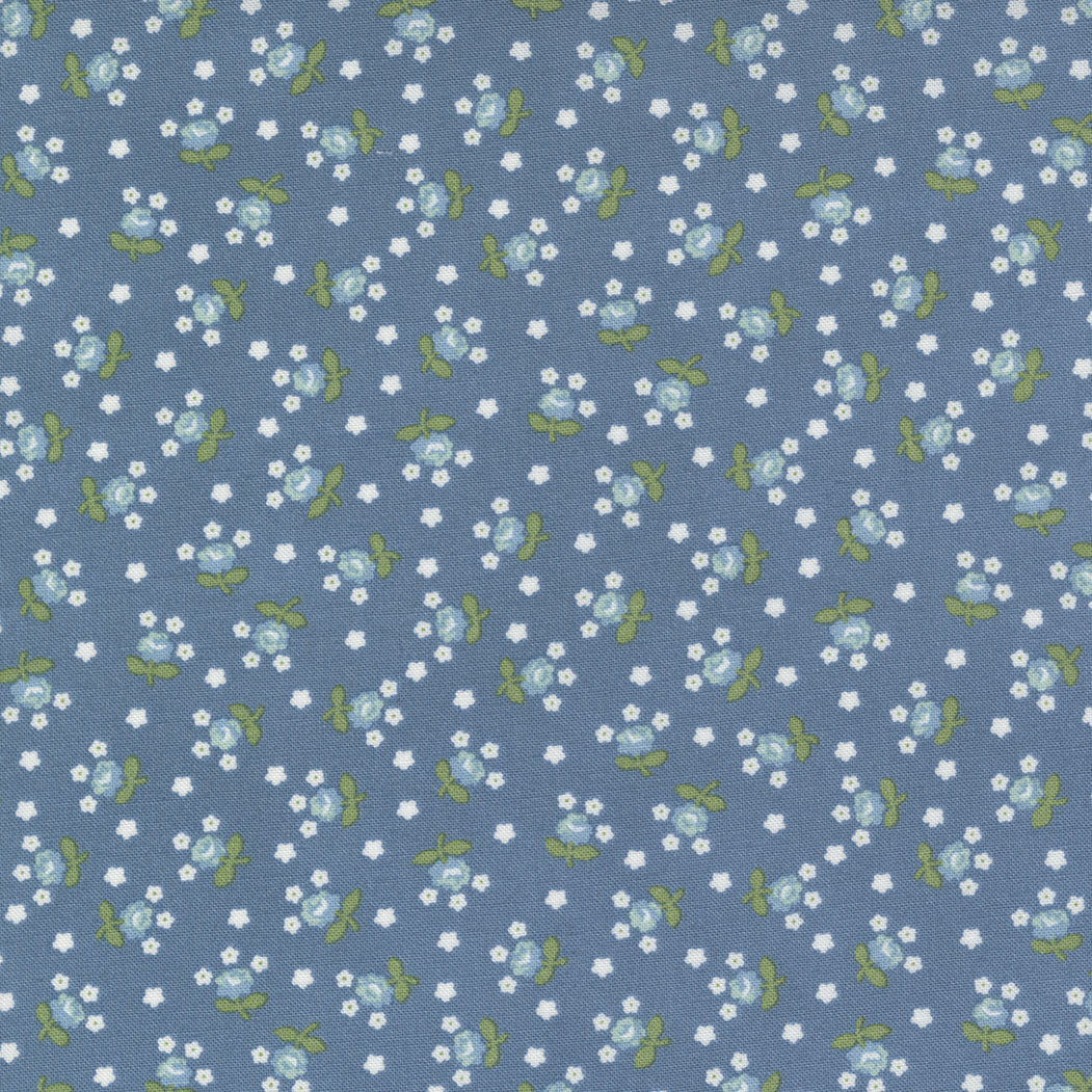 55266 15 Nantucket Summer Fairground Lake - Image 1