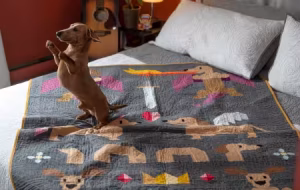 Mythical Wieners Quilt Pattern - Image 4