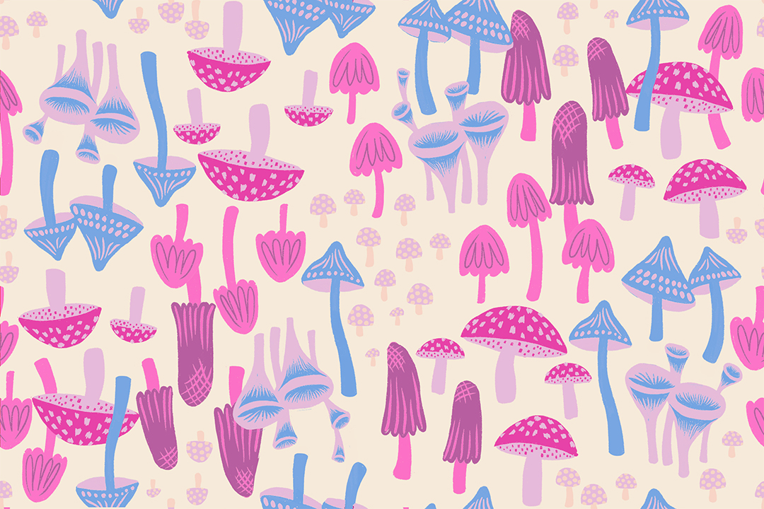 RS 2124 11 Hello Alice Mushroom Land Shell - Image 1