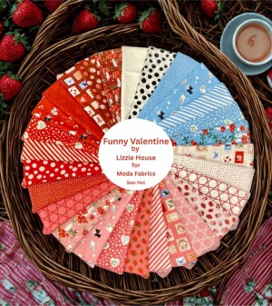 Funny Valentine Fat Quarter Bundle - Image 2