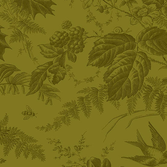 10285-V1 Vermont Juniper - Image 1
