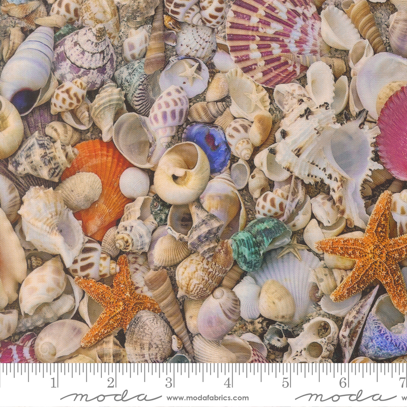 39570-11 Saltwater Seas The Day Shells - Image 1