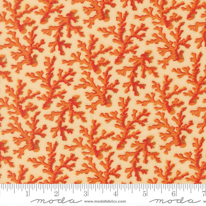 39575-11 Saltwater Coral Me This Orange - Image 1