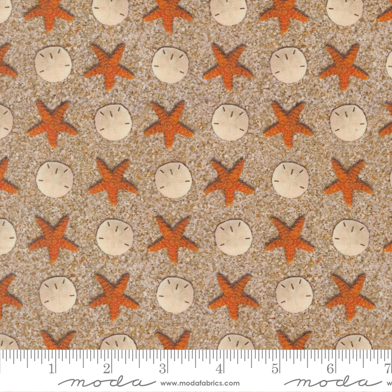 39576-11 Saltwater Sand Dollar Starfish Sand - Image 1