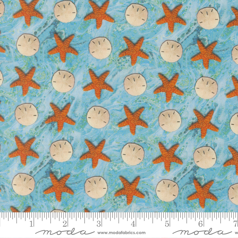 39576-12 Saltwater Sand Dollar Starfish Surf - Image 1