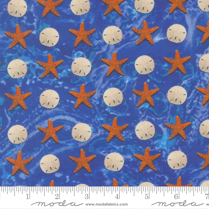 39576-13 Saltwater Sand Dollar Starfish Ocean - Image 1