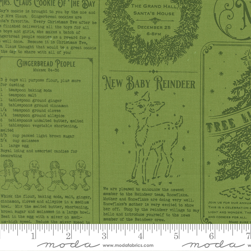 20970-13 Holiday Cheer North Pole News Mistletoe - Image 1