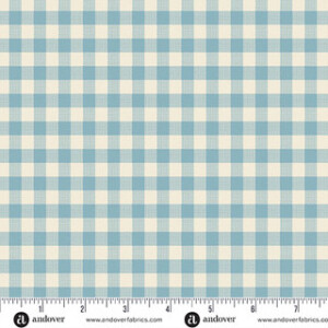 Special Delivery Gingham Chambray