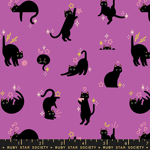 RS 5193 13 Freaky Familiars Catwalk Witchy - Image 1