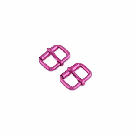 STS324P Two 1" Tula Pink Roller Buckles - Image 1