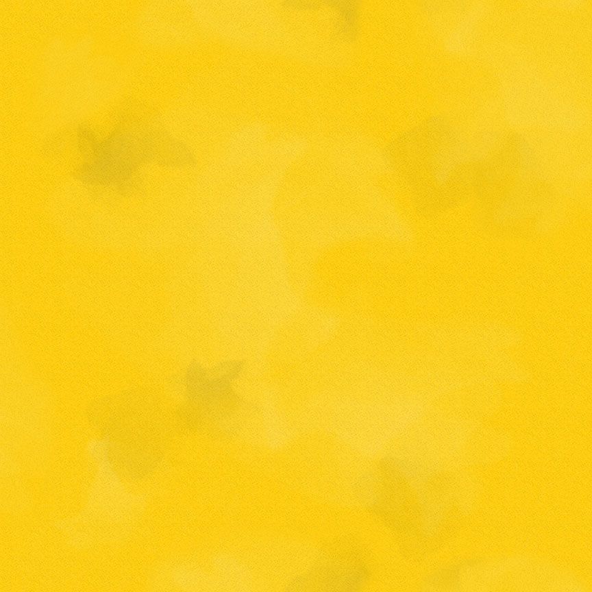 C2970-LION Color Stock Brushstroke Solid Lion - Image 1