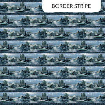 DP29116-48 Naturescapes Voyage Border Stripe - Image 1