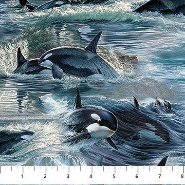DP29117-48 Naturescapes Voyage Orcas - Image 1