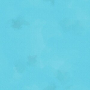 Color Stock Brushstroke Solid Splash